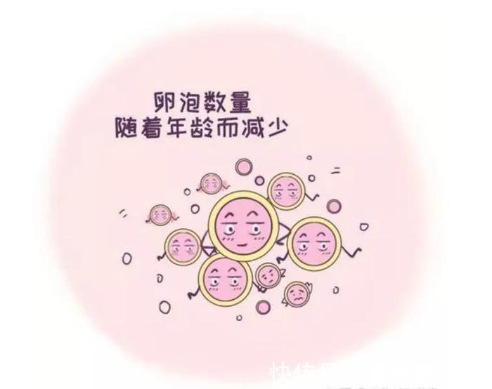 广西试管婴儿