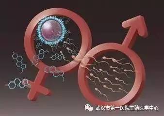 不孕不育女性