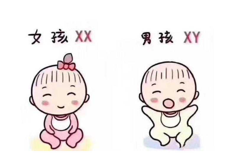 婚后不孕