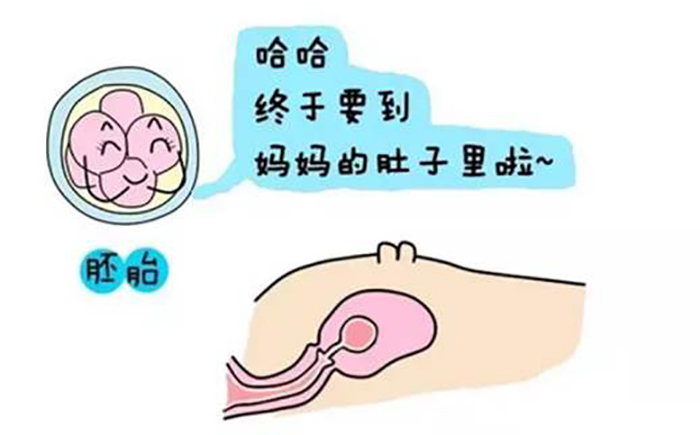 彩虹宝贝助孕