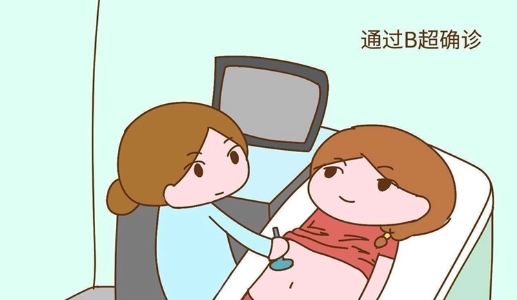 助孕成功率