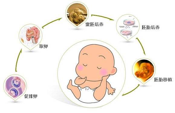 常州试管婴儿医院
