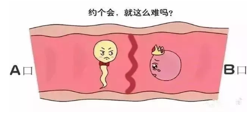 常德助孕窖