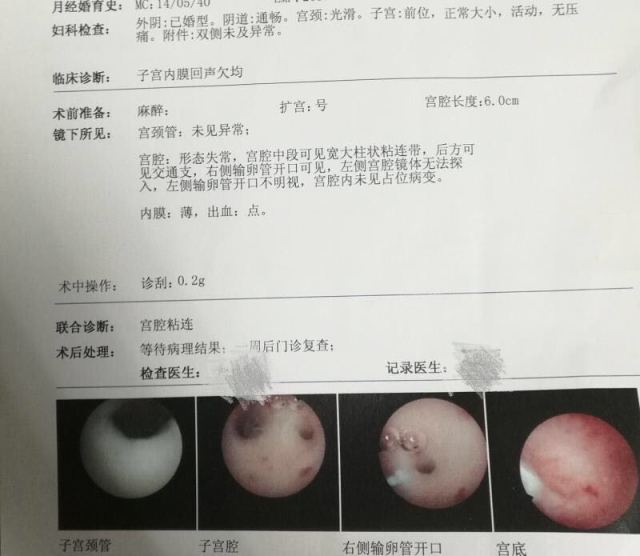 广州助孕公司价格