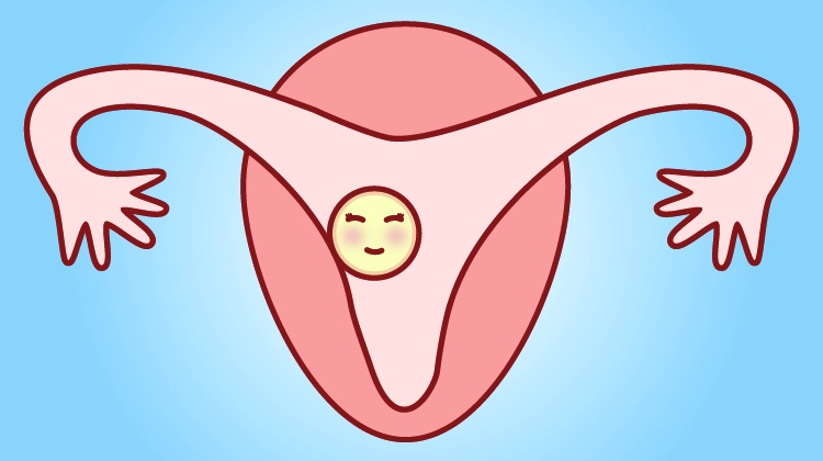 婚后不孕
