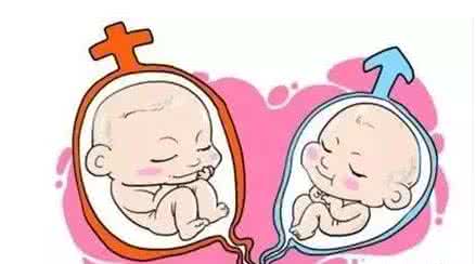 广东试管婴儿