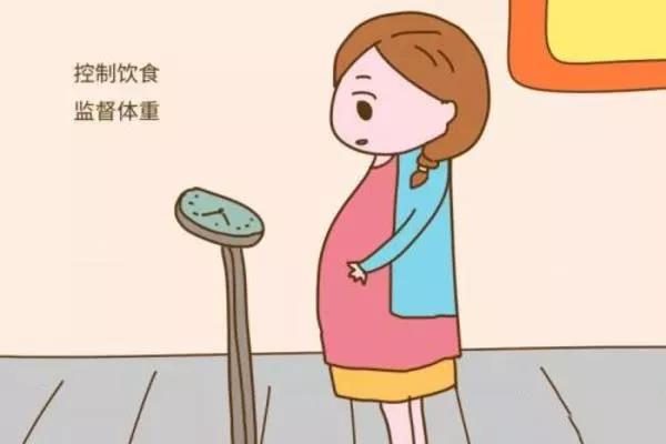 供卵机构