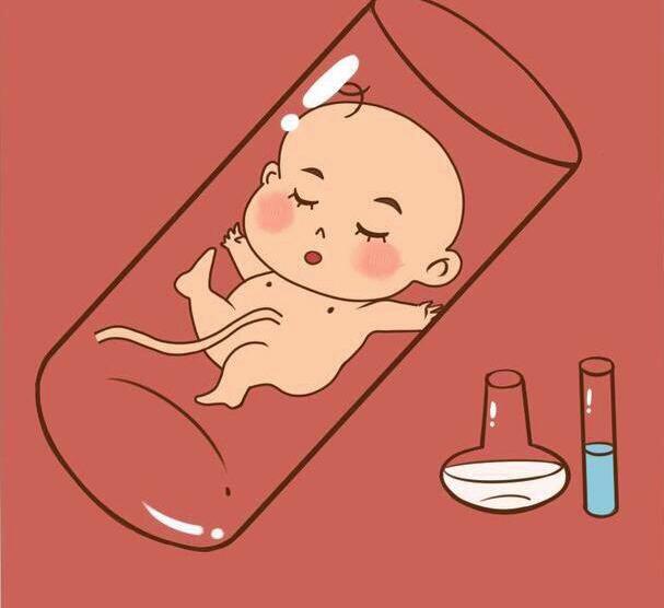 供卵试管