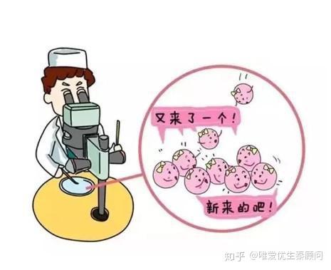 供卵试管婴儿机构