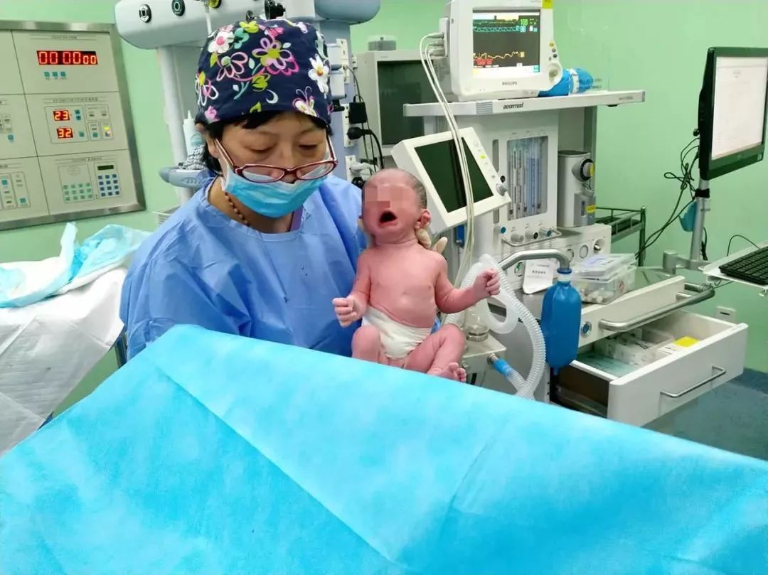 供卵试管婴儿 合法吗