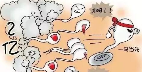 正规供卵试管婴儿医院