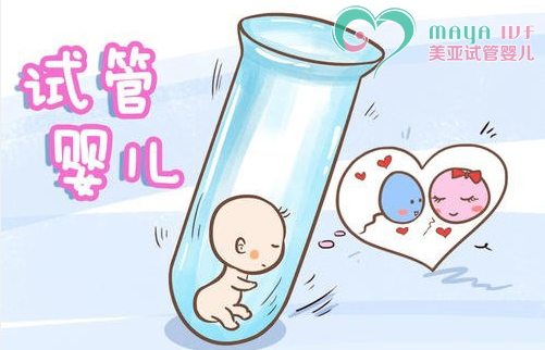 供卵生育