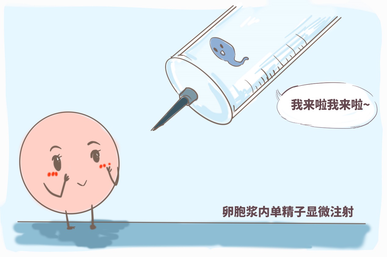 供卵试管婴儿机构