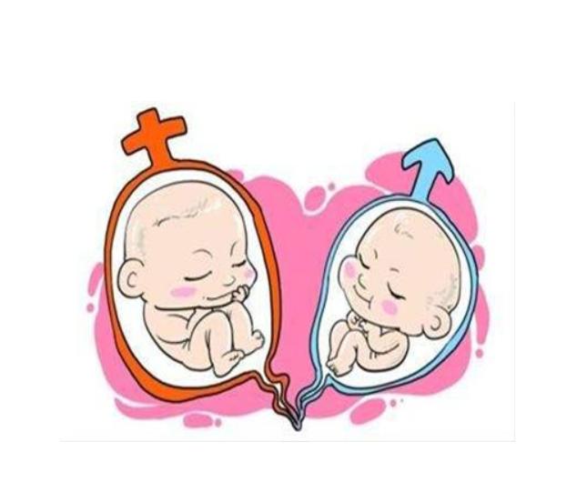 不是自己的卵子做试管