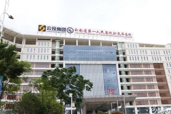 供卵试管婴儿