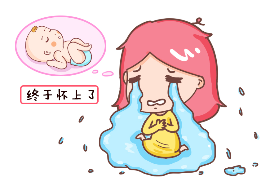 供卵