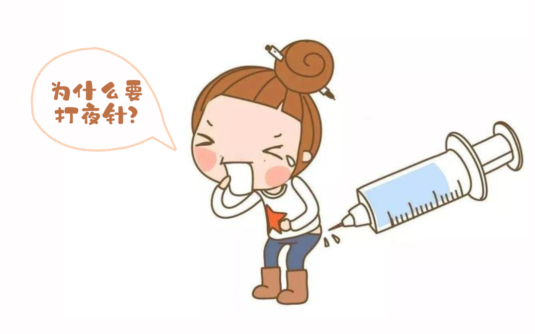 供卵机构
