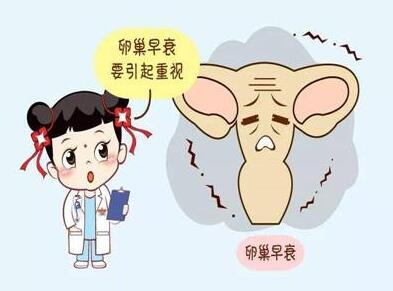 供卵试管婴儿